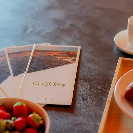 Borgo Olivo Apartment *